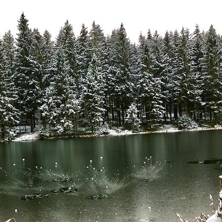 Ferienwohnung Hahnenklee ゴスラー エクステリア 写真