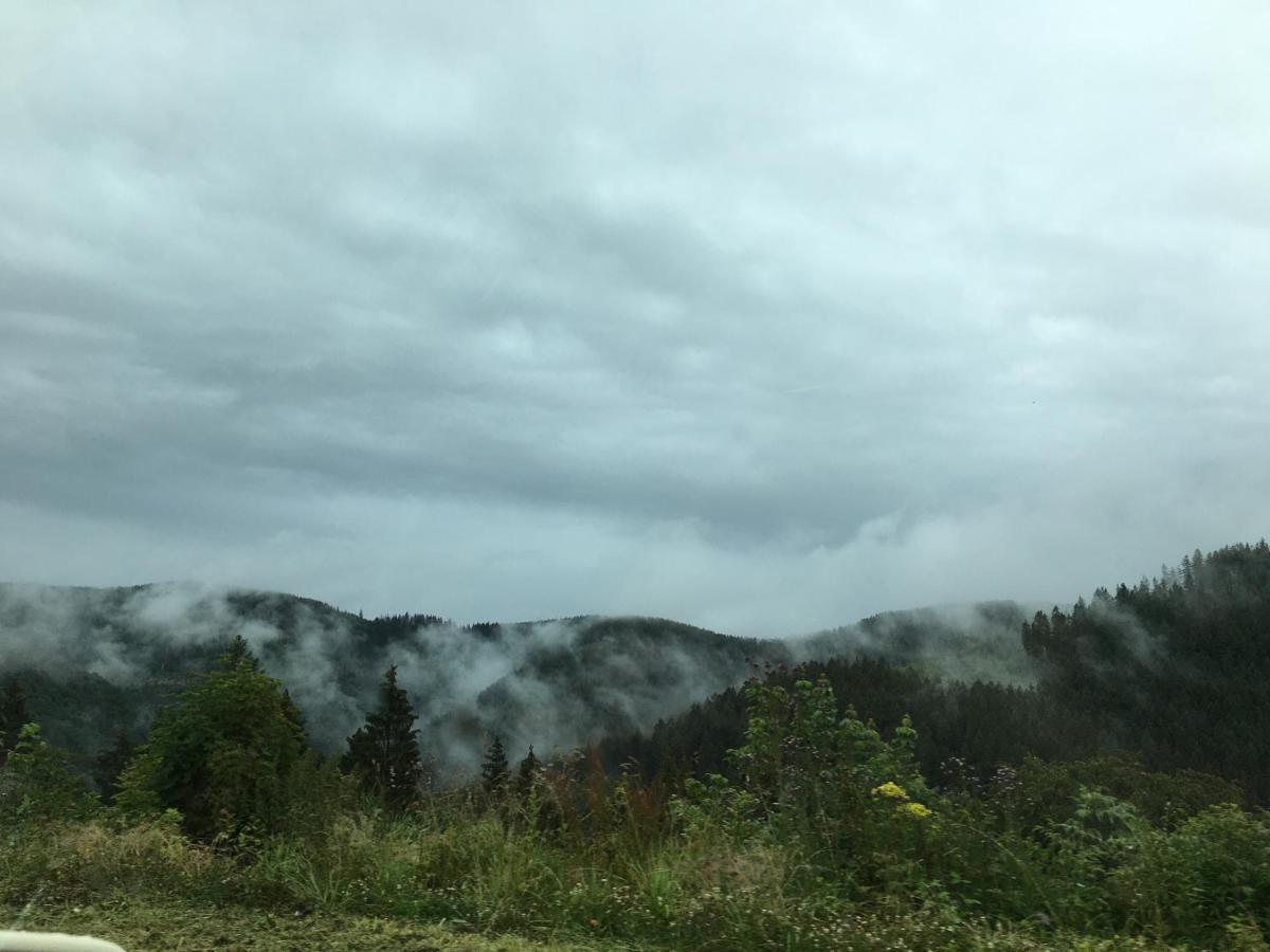 Ferienwohnung Hahnenklee ゴスラー エクステリア 写真