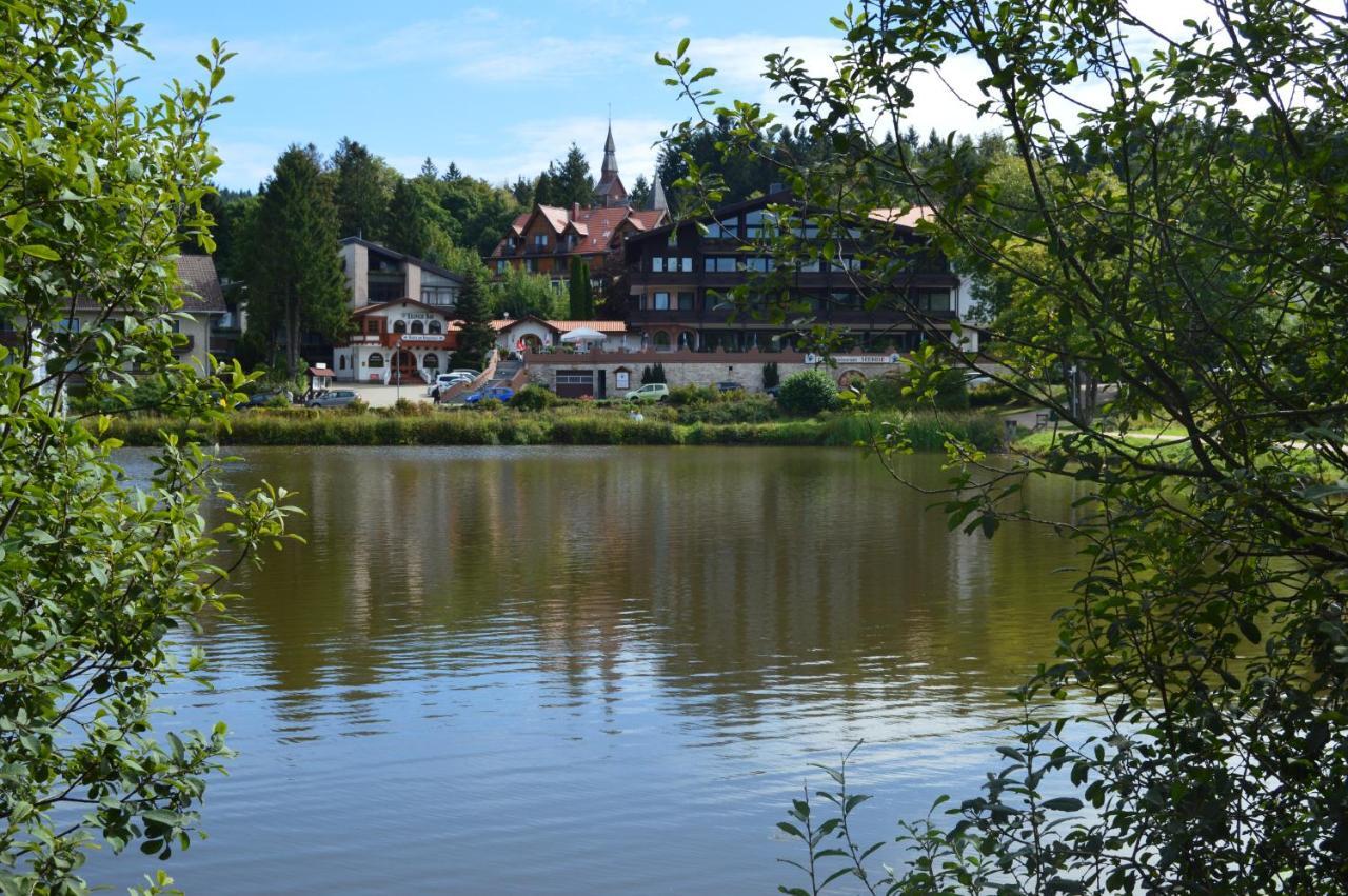 Ferienwohnung Hahnenklee ゴスラー エクステリア 写真