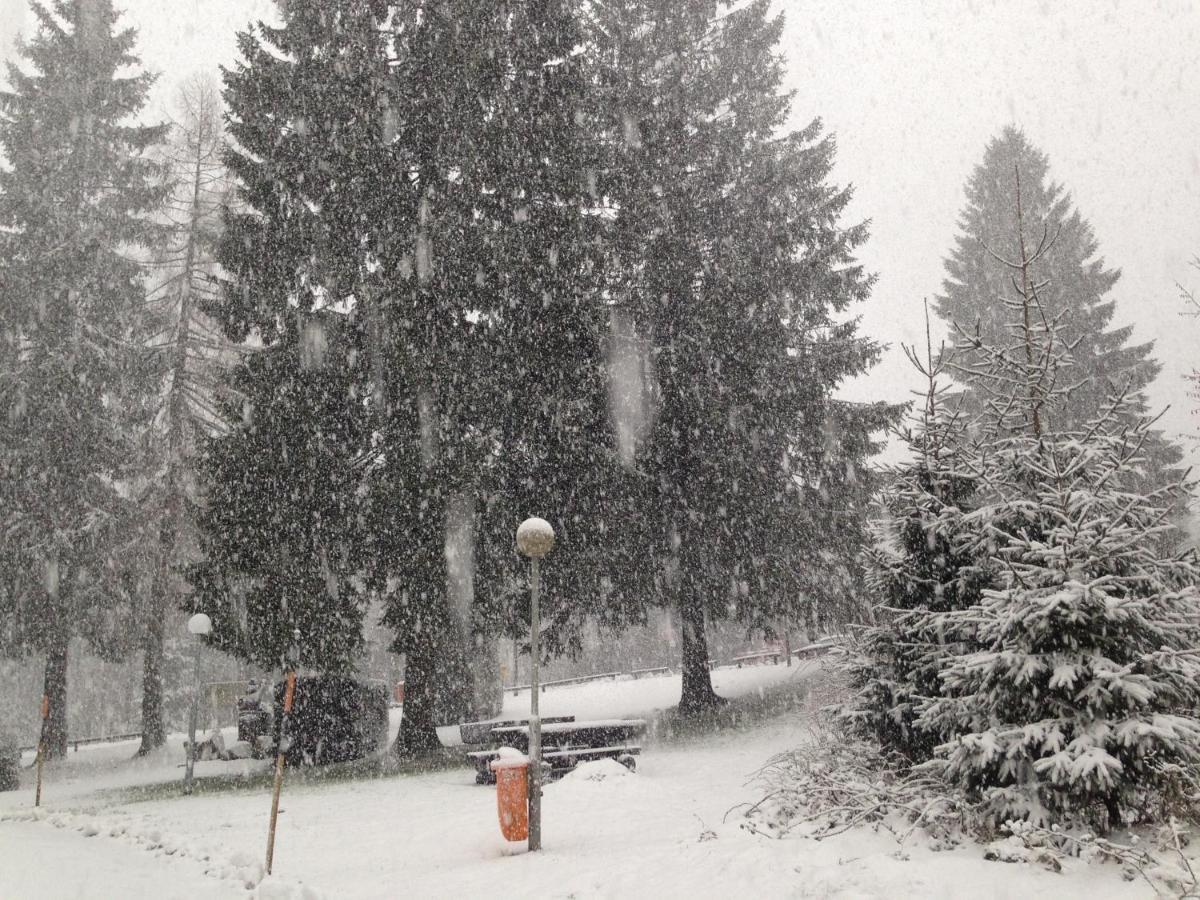 Ferienwohnung Hahnenklee ゴスラー エクステリア 写真